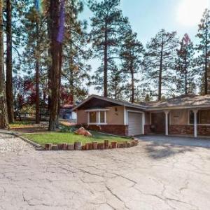 Silver Pines Place