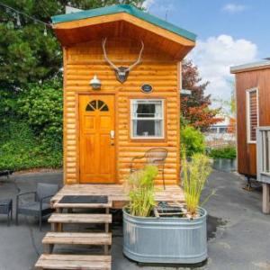 Tiny Digs Cabin House