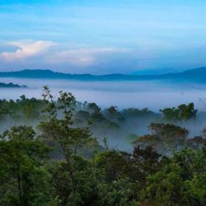 Jade Hills Coorg