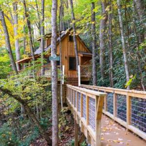 The Cedar in Treehouse Grove at Norton Creek