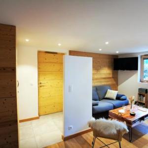 Appartement moderne aux Gets 2 chambres garage services inclus - FR-1-598-93