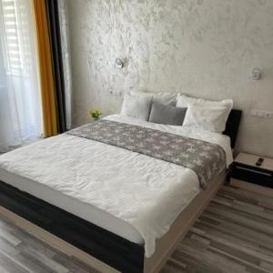 Luxury Apartment