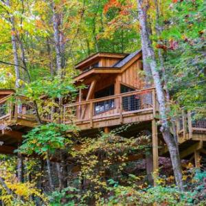 The Dogwood in Treehouse Grove at Norton Creek