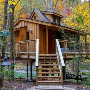 The Magnolia in Treehouse Grove at Norton Creek