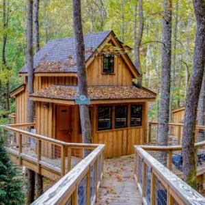 The Hemlock in Treehouse Grove at Norton Creek