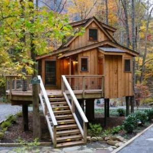 The Poplar in Treehouse Grove at Norton Creek