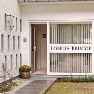 B&B Lobelia-Brugge