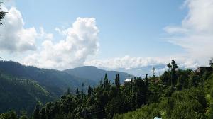 The Jungle Mountain Retreat, Jutogh