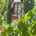Chardonnay Lodge