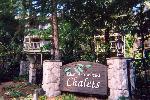 Arrowbear Lake California Hotels - Lake Arrowhead Chalets