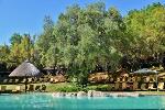 Sun City South Africa Hotels - Bakubung Bush Lodge