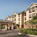 Innisbrook Golf Resort Hotels - Hampton Inn & Suites Tarpon Springs