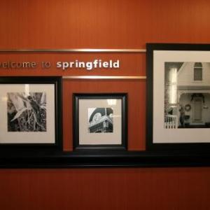 Hampton Inn By Hilton & Suites Springfield-Southwest Il