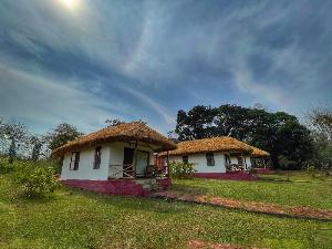 Green Dreams adventurestay, Suntikoppa