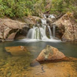 Rapaura Watergardens