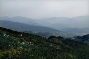 Goroomgo Kausani Retreat Kausani, Kausani