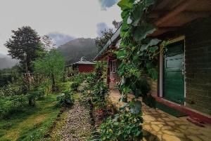 Goroomgo Zen Oaks Homestay Almora , Almora