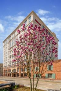 New Orleans Marriott Warehouse Arts District hotel near Ernest N. Morial Convention Center