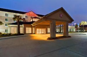 Hilton Garden Inn Houston/Clear Lake NASA, Webster