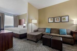 Comfort Suites Waco North, Waco
