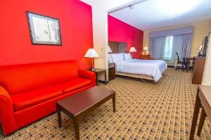 Holiday Inn Express Houston Space Center-Clear Lake, an IHG Hotel, Webster