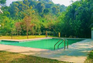 Vythiri Greens Holiday Resort, Wayanad