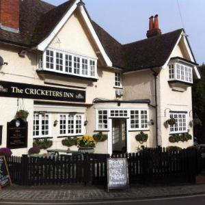 Hotels near Matterley Bowl Winchester - The Cricketers Inn