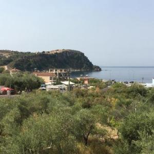 Villa Olivia Grove