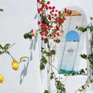 Adelos Maisonette Near Vouliagmeni Beach