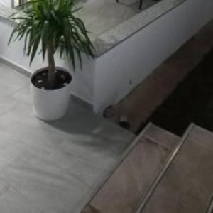 Arjan Dyli Guesthouse