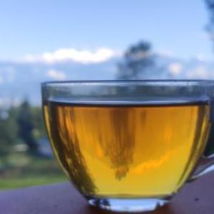 Himalayan Cloud's Homestay