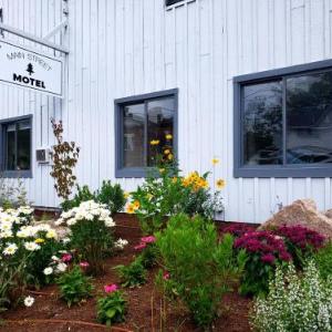 Main Street Motel