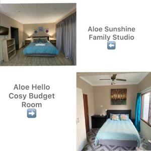Aloe Guest Rooms