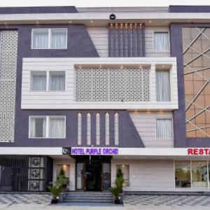 Hotel Purple