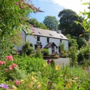 Brynarth Country Guest House