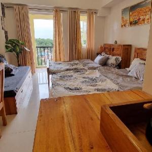 Charming Studio Condo Unit near Mines Park