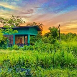 The Elephant Hide Villa