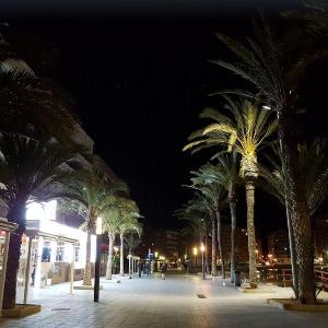Apartment 350 meters from Playa del Cura