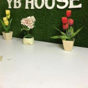 YB HOUSE