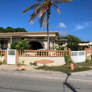 Aruba Backpackers