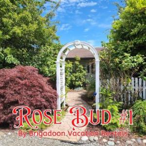 SQ Rose Bud 1
