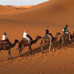 Sahara camel tours camp