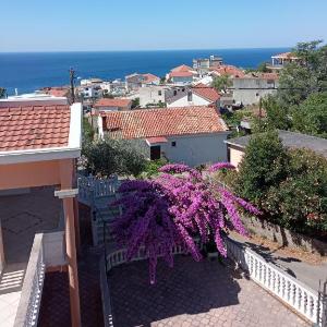 Apartman Elena