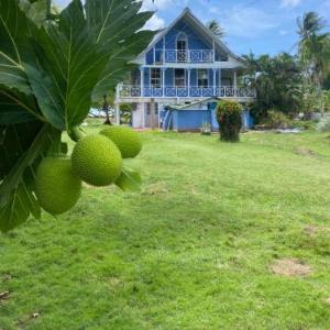 Islander House on Rocky Cay Beach