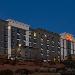 Hotels near Denver Polo Club - Hampton Inn & Suites Denver/Highlands Ranch