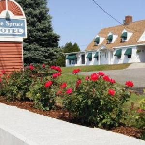 Kingston Hotels Deals At The 1 Hotel In Ma Blue Spruce Motel Townhouses