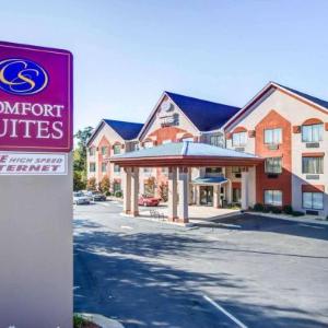 Comfort Suites Northside Hospital Gwinnett