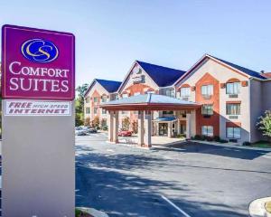 Comfort Suites Northside Hospital Gwinnett, Lawrenceville