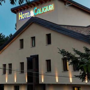 Arena Rendano Cosenza Hotels - Hotel Ristorante Caligiuri