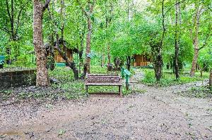 Jungle Lodges And Resorts- Sakrebyle Elephant Camp, Shimoga